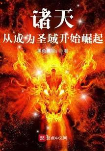 诸天从成为圣域开始崛起篱笆好