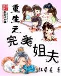 重生之完美姐夫有声