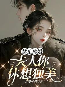 夫人你休想独美txt