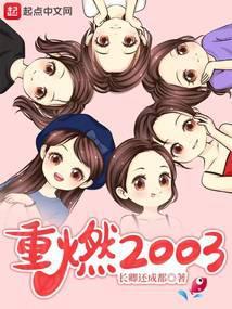 重燃2003讲的什么