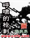 呼啸的枪声