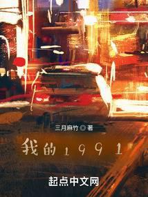 我的1991无错版电子书txt