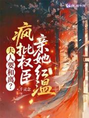 夫人要逃婚免费阅读