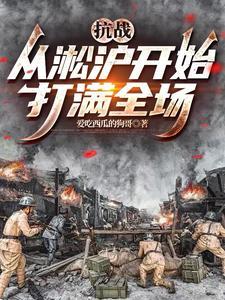 抗战从淞沪开始打满全场全集