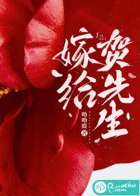 嫁给先生免费阅读
