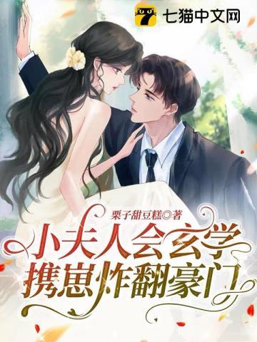 小夫人全文