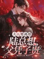 夫人又闹离婚了陆铭免费阅读