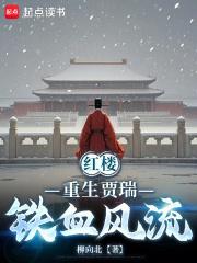 红楼重生贾瑞铁血风流