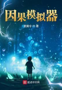 我的因果模拟器校对