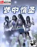 梦中情圣qidian