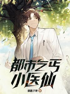 都市乞丐小医仙短剧免费观看
