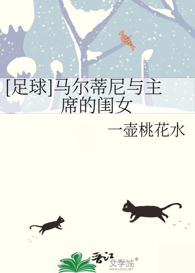 马尔蒂尼现在
