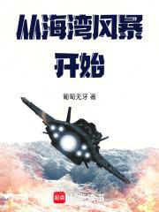 从海湾风暴开始TXT