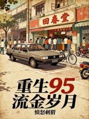 重生95流金岁月篱笆好文学