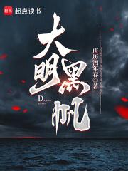 大明黑帆免费阅读无弹窗