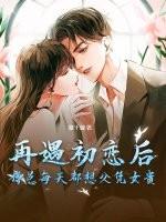 傅总每天都想复婚