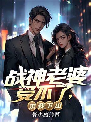 求我下山江辰沈倾城