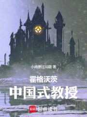 霍格沃茨中国式教授第三中文网