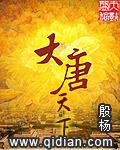 大唐天下之揭竿而起电视剧免费观看
