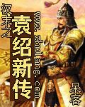 汉袁绍有用吗