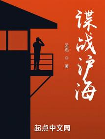 谍战沪海全文免费阅读