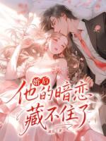 隐婚暗恋婚后文