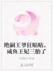 咸鱼王妃三胎了 只打雷不下雪