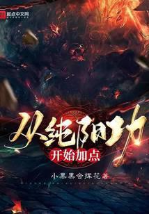 从纯阳功开始加点百度
