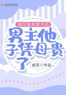 炮灰娘亲穿书后男主他子凭母贵了孩子是谁的