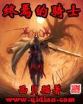 终焉的骑士无删减