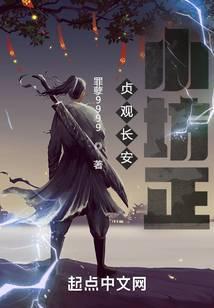 贞观长安小坊正TXT电子书
