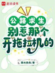 公路求生别惹那个开拖拉机的