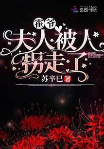 霍爷夫人又去摆摊了免费阅读