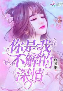 你是我的不解深情免费阅读