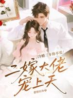 冷二少的二婚宠妻免费