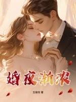 婚夜渐浓结局是什么