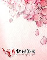 倾城之泪剧情