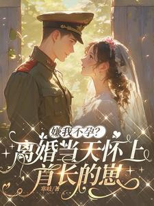 嫌我不孕?离婚当天怀上首长的崽剧