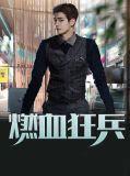 燃血狂兵第二部叫什么
