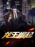 龙王znf