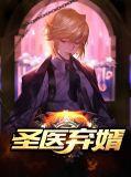 圣医弃婿陆风免费阅读