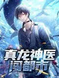 真龙医仙免费