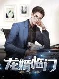 龙婿临门 在线 免费