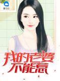 我的老婆不能惹全文阅读