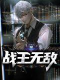 无敌战王txt