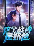 这个奶爸超凶txt