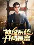 神级暴富系统txt八零