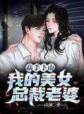 我的高手老婆免费阅读