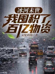 冰河末世我囤积了百亿物资TxT