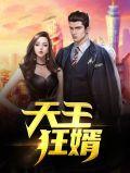 天王赘婿叶辰免费阅读全文